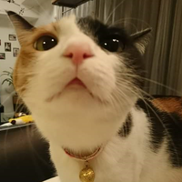あき