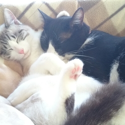 「満員御礼☆」サムネイル1