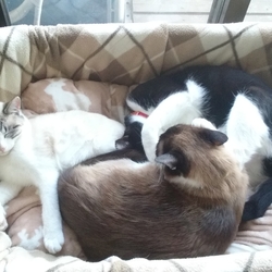 「満員御礼☆」サムネイル2