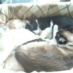 「満員御礼☆」サムネイル3