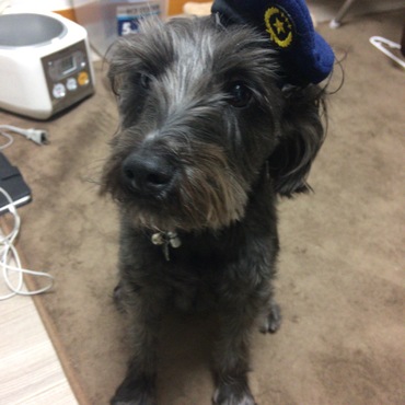 おまわりさん( ^ω^ )