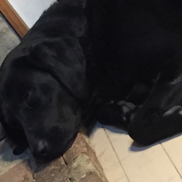 枕、みーつけた。