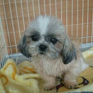 現在、皆さん対応の為一旦止めます(^^)