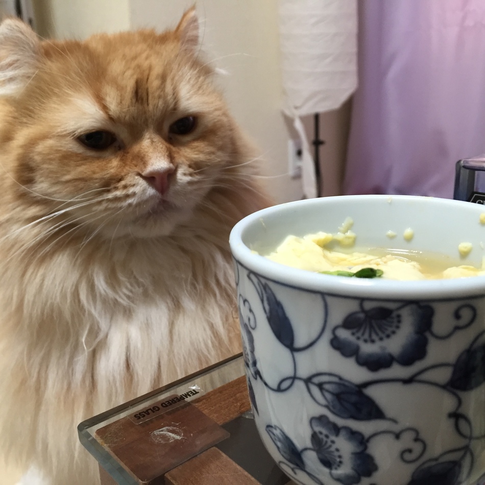 獅子丸のカバー写真