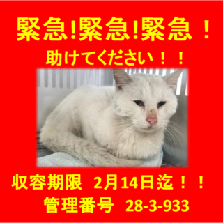 里親決定！ありがとうございました！