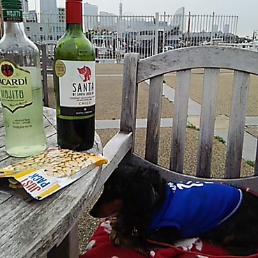 大好きな横浜山下公園でのランチです。