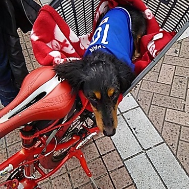 ご主人とツーリングです。