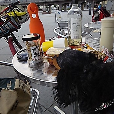 ご主人様～あまり飲まないで！！