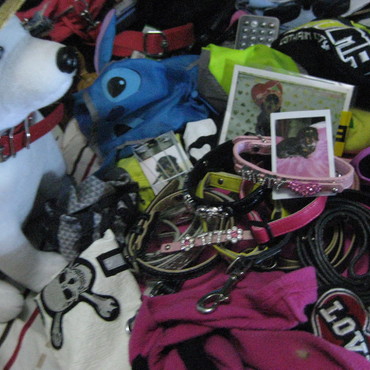 僕のワードロープです。