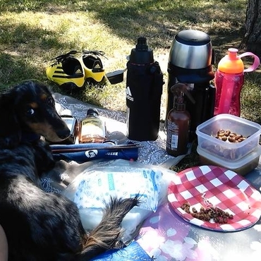 横浜山下公園での楽しいひととき。