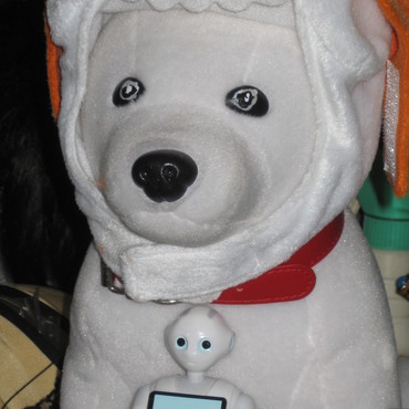 僕の相棒？甲斐君です。