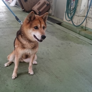 ありがとうございます。当方で引き出しました。