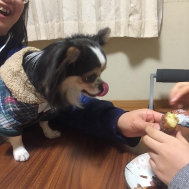 焼き芋大好き❤安納芋大好き