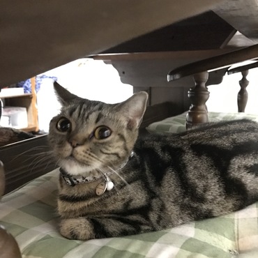 数少ない女の子らしい顔（笑）