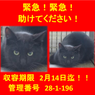 里親決定！！家族ができました(*´▽｀*)