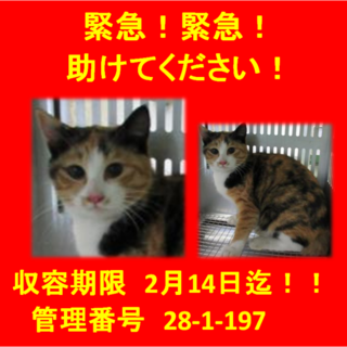 里親決定！！家族ができました(*´▽｀*)