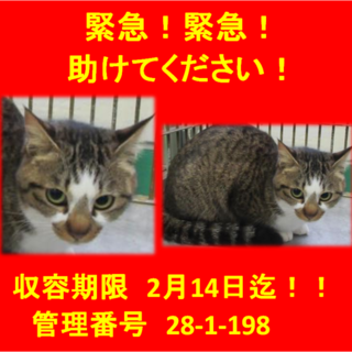 里親決定！！素敵な家族ができました(*´▽｀*)