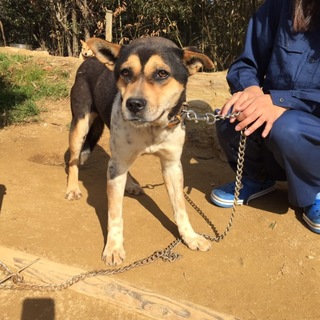 シャイなミッキー愛知のH様宅に迎えて頂きました。