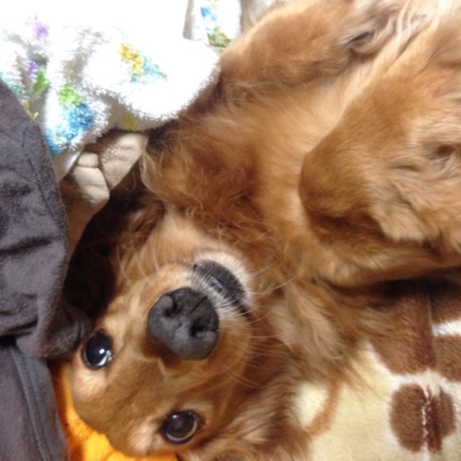 kai.のカバー写真