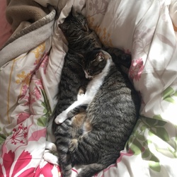 「お家に来てくれて3ヵ月」サムネイル1