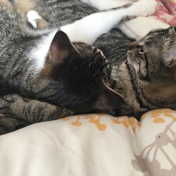 「お家に来てくれて3ヵ月」サムネイル2