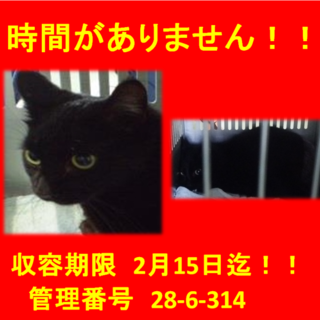 里親決定！！家族ができました(*´▽｀*)