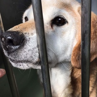 まだまだ元気！生きたいよ！瞳のきれいな男の子