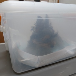 ちょっと慣れてきた？