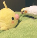 沢山のお申し込み頂き、ありがとうございました！