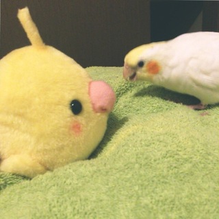 沢山のお申し込み頂き、ありがとうございました！