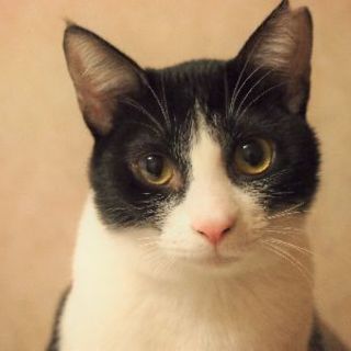 でら！パフェ＆サンデー！