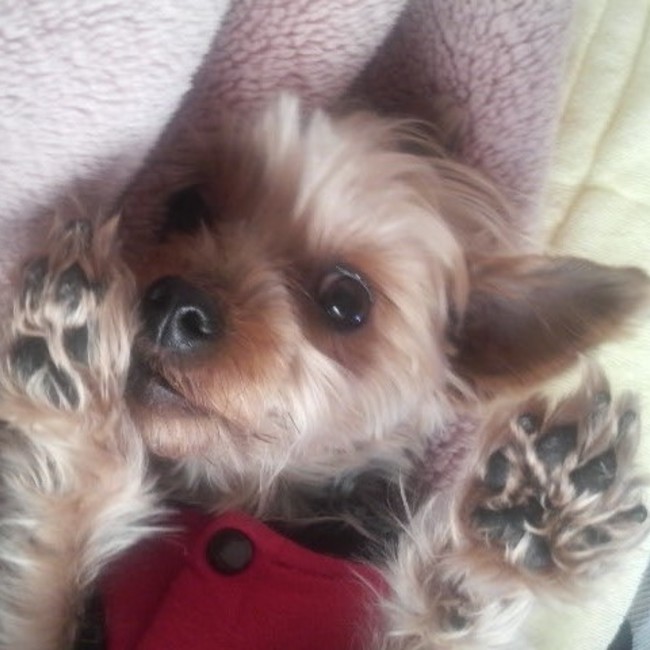 hidenariのカバー写真