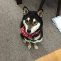 はな
