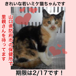 里親さまに迎えられました