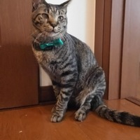 歩実（あゆみ）