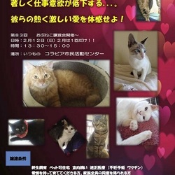 　2/12（日）悪猫に会いにくる？　イン大府市～