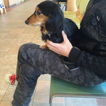 パパの膝の上が大好き♡(*ó▿ò*)♡