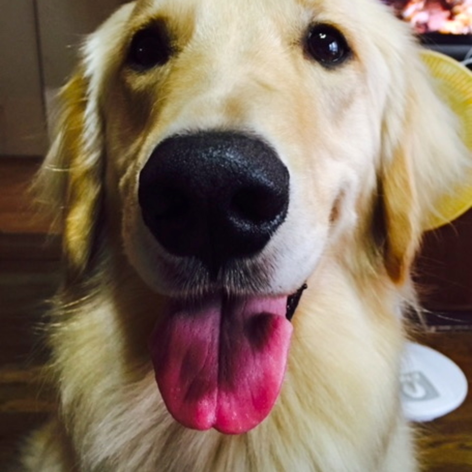 西尾美佐代のカバー写真