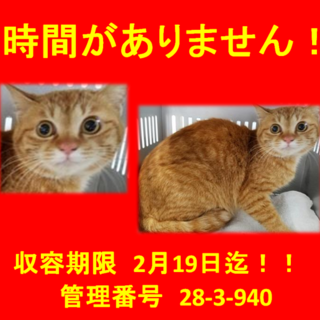 里親決定！！家族ができました(*´▽｀*)