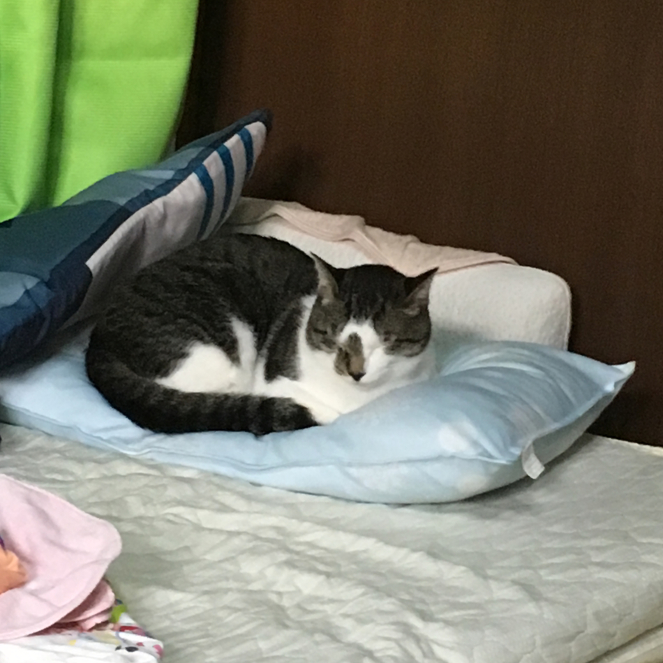 部長のカバー写真