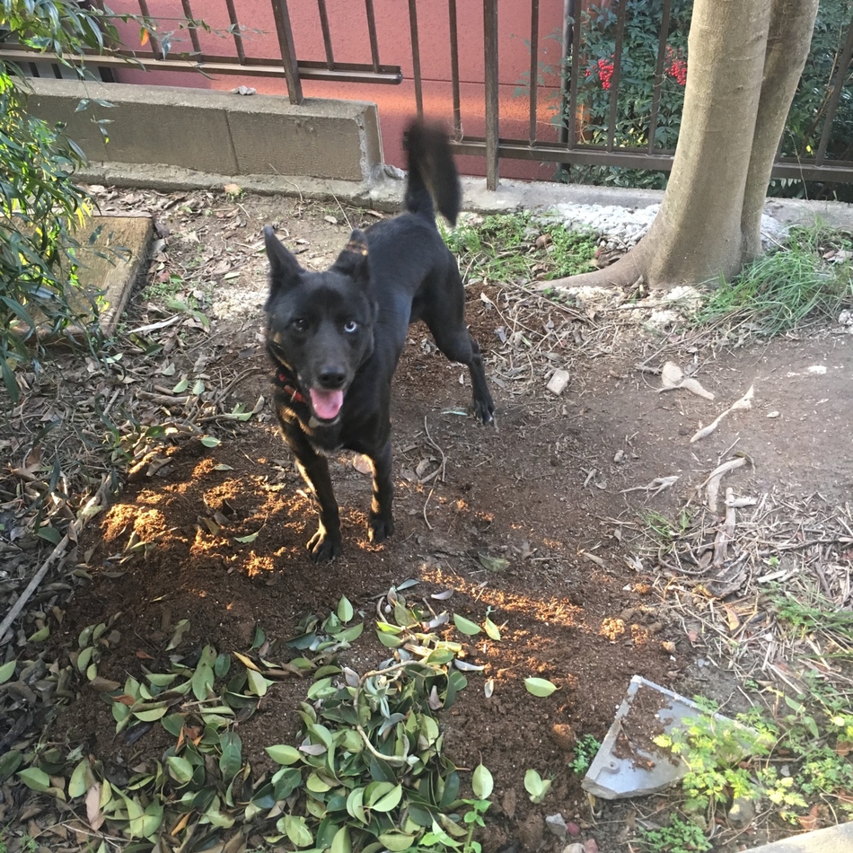 ジルのカバー写真