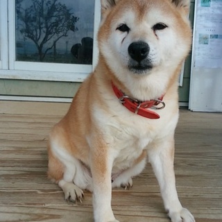 マイペースななばあちゃん