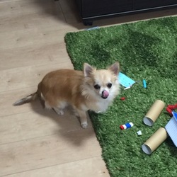 そらみの楽しみ⁉︎…m(_ _)m