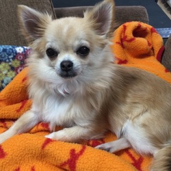 「そらみの楽しみ⁉︎…m(_ _)m」サムネイル3