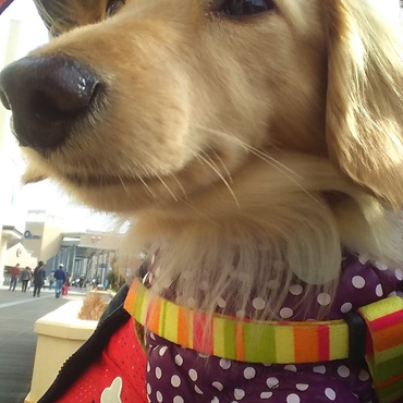 抱っこで撮ると近い～