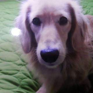 募集内容の変更等により終了致します。