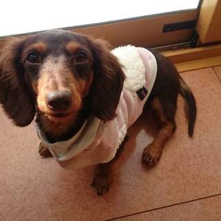 かんなの家族を探しています