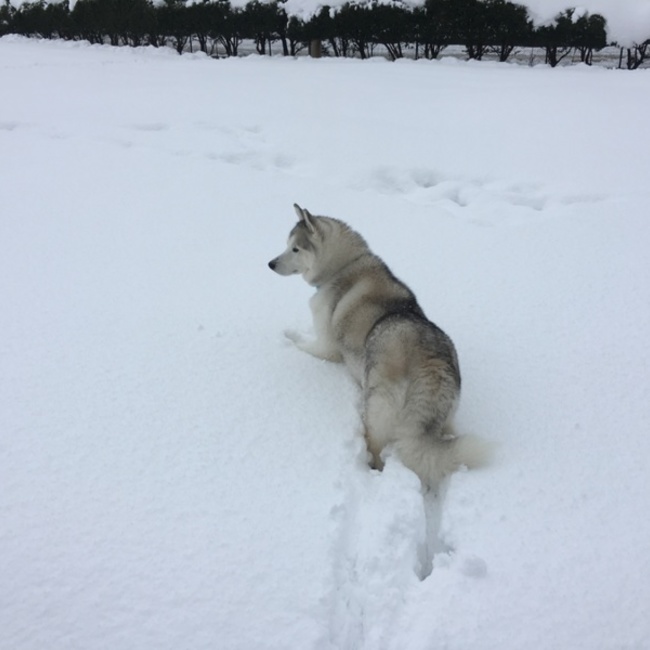もりけいのカバー写真