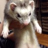 はじめまして