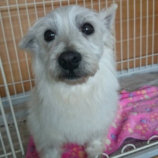 一度募集を終了させていただきます！